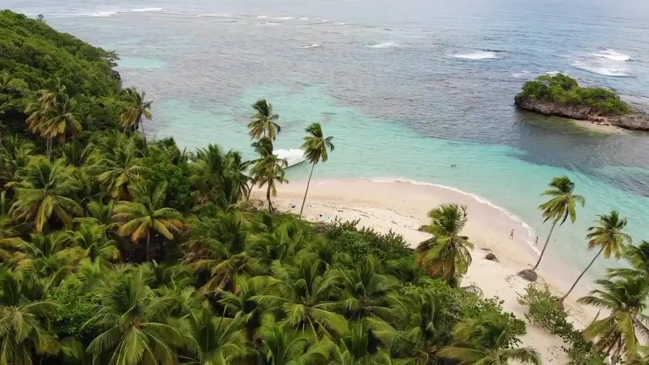 Plage tropicale bordée de cocotiers vue par drone